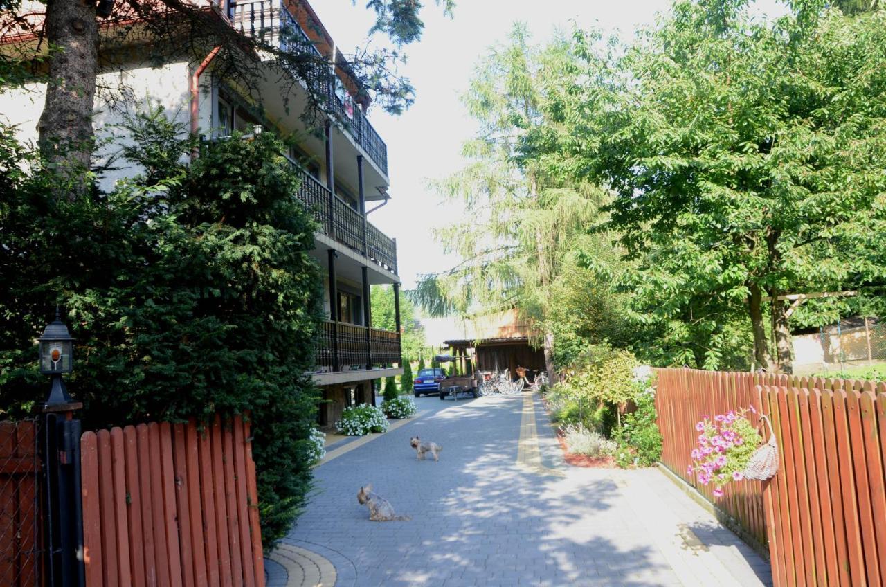 Willa Goscinny Prog Krościenko Exteriér fotografie
